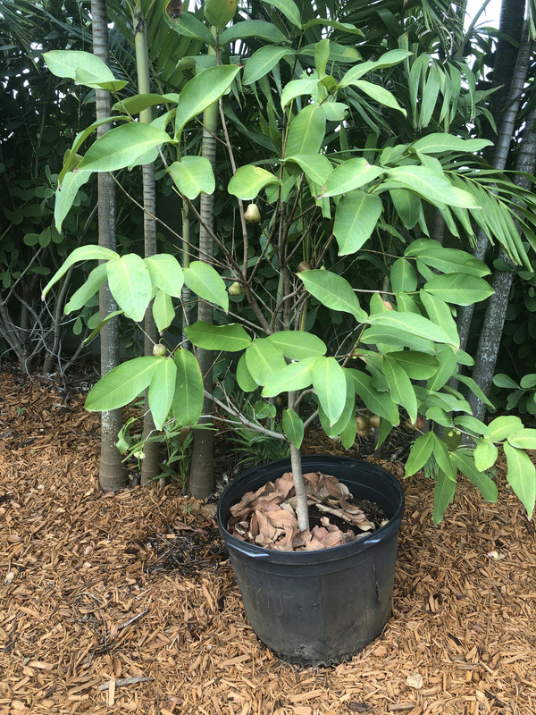 0310A102-E3CD-4372-91CB-C29C52FDF914