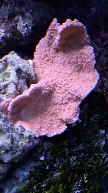 WhatsApp Image 2021-02-19 at 13.05.23 (1)