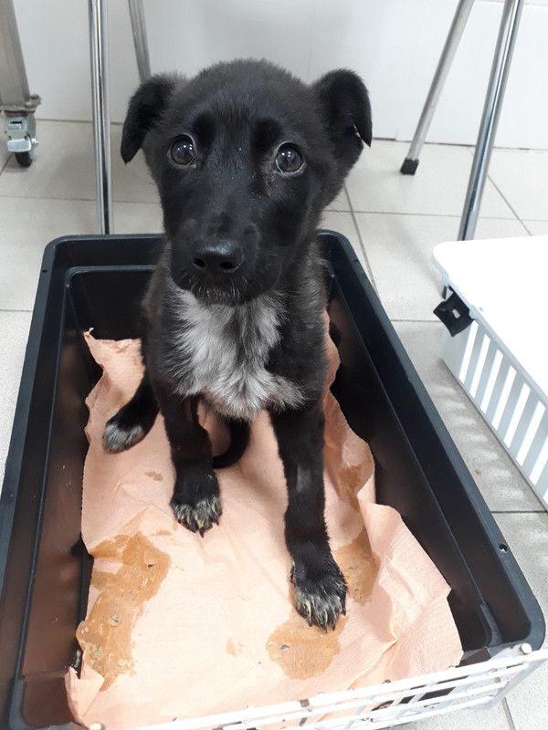 изображение_viber_2019-12-21_17-34-25