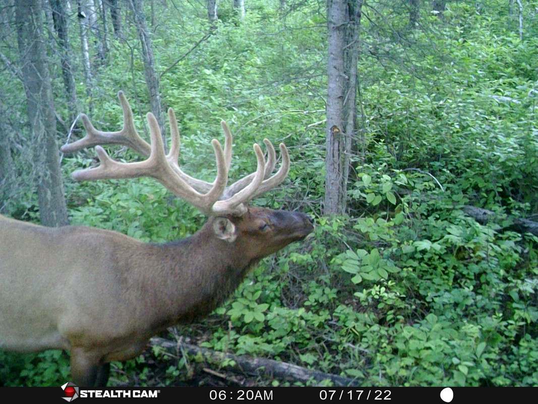 32F7118E-B344-49B6-915B-896D5FB122C1