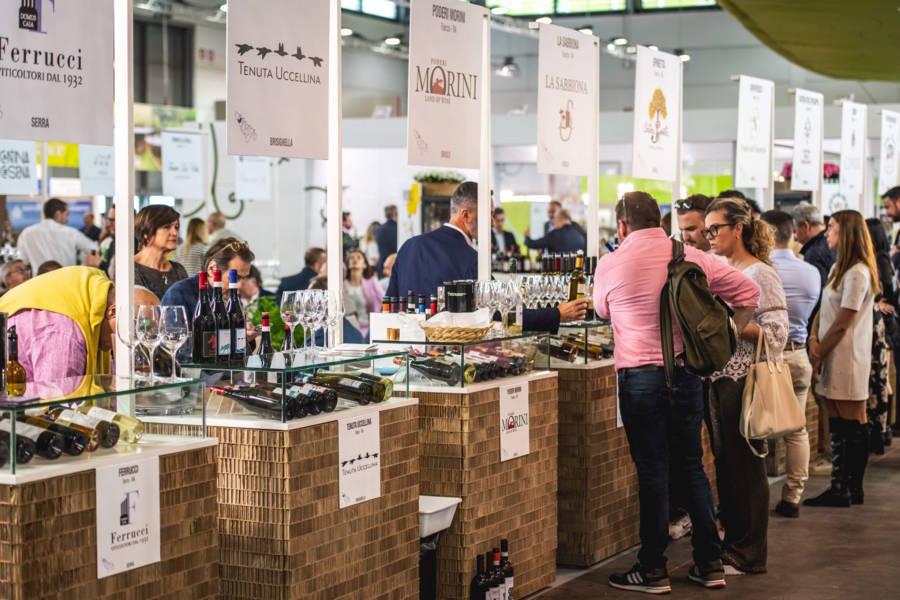 Il Consorzio Vini di Romagna sarà protagonista a Vinitaly 2025 con 18 cantine