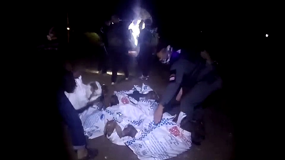 vlcsnap-2025-09-18-09h32m08s052