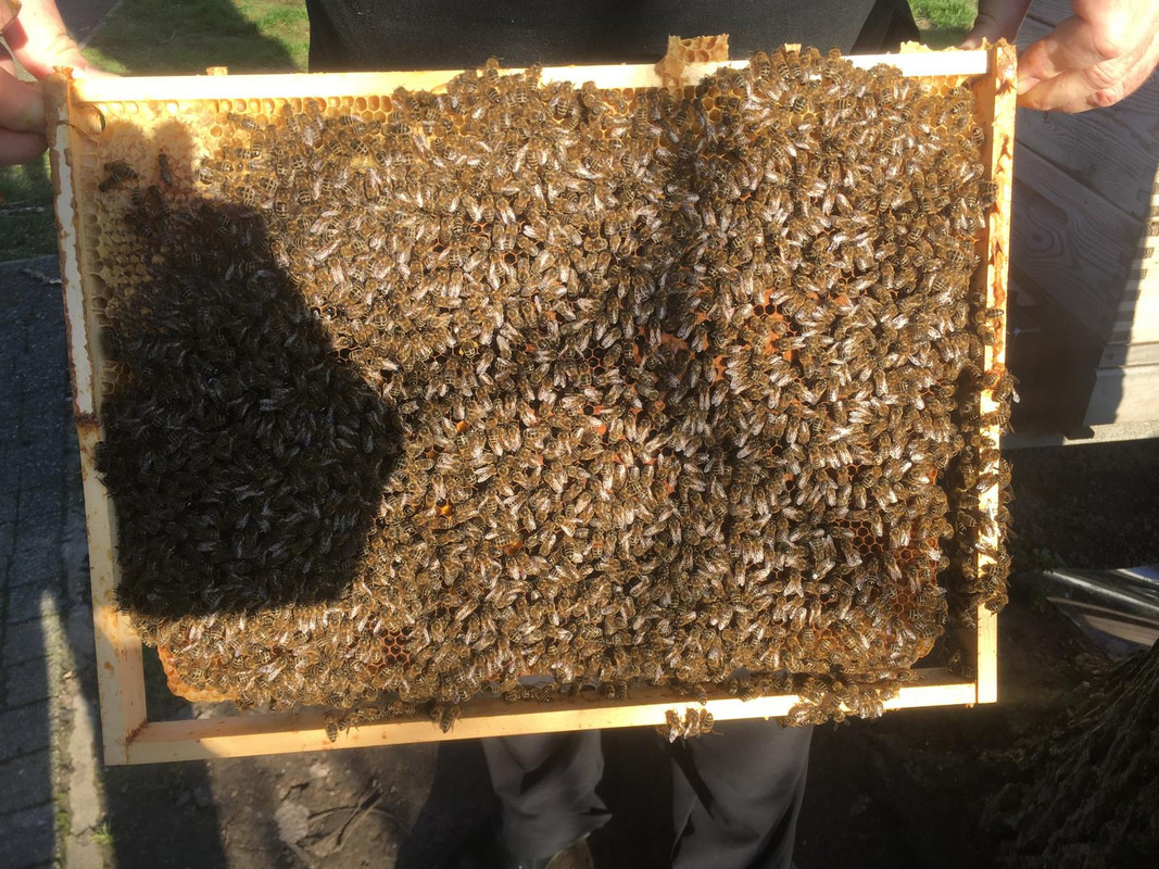 7673E4D1-105D-4D0B-A89F-B04B2D76C076