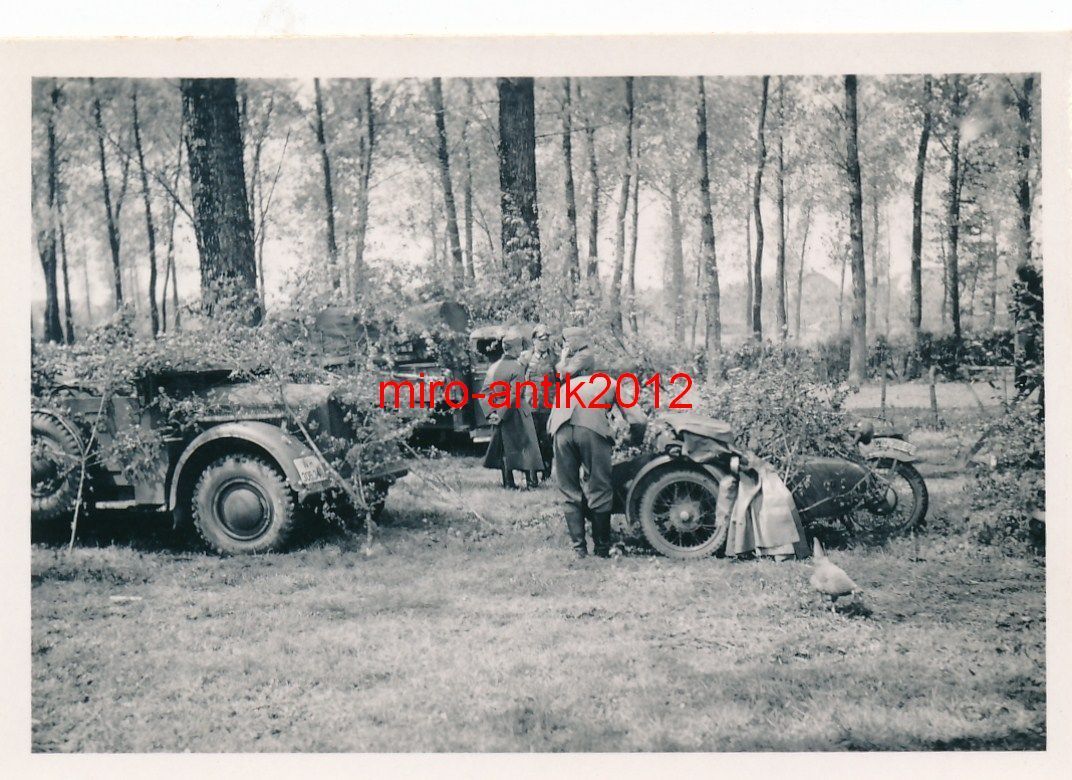 ,Inf. Regt. 123 P-Jäger, Wald, Florenville, Belg