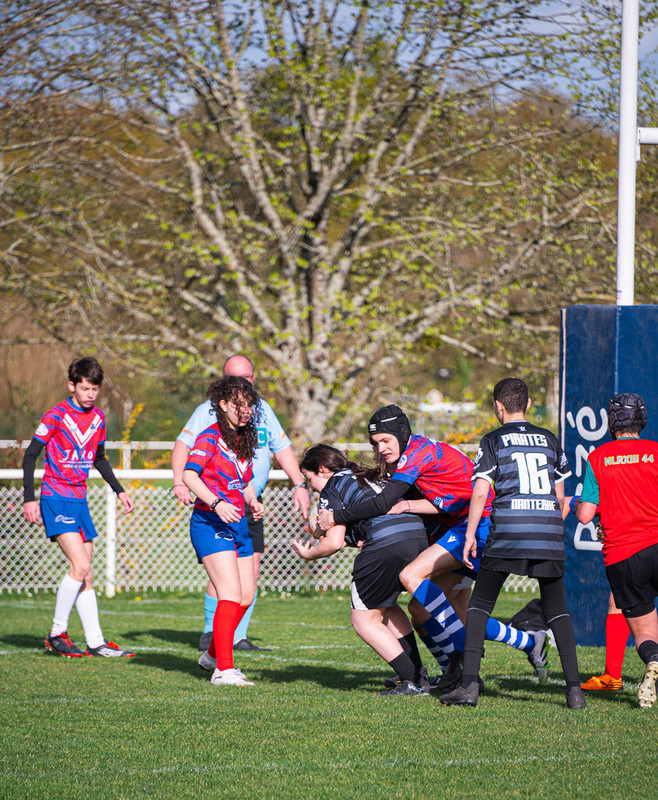 tournoi-de-latlantique-2026-adonis-griffon-261-55180356517-l