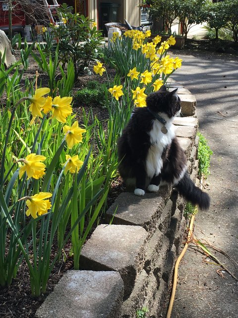 9B9832C0-8175-4A98-897D-F137F7017A31