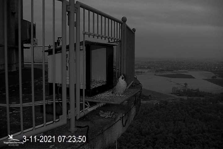 campics vanaf 1 juli © VWGGemert en bonusjes van ter plekke - Pagina 39 4