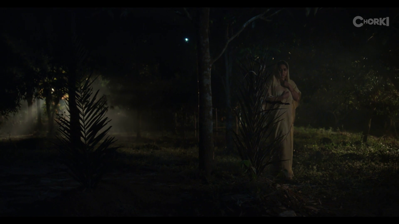 vlcsnap-2025-06-19-08h03m43s339