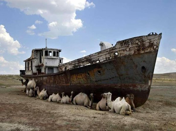 Abandonados-11