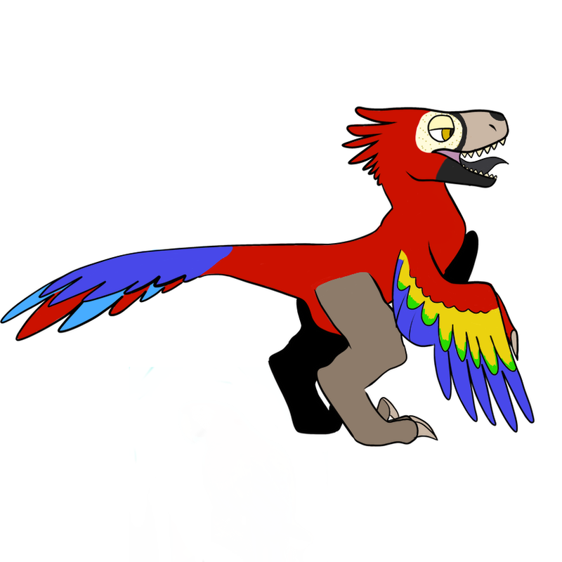 IMG-8566.png