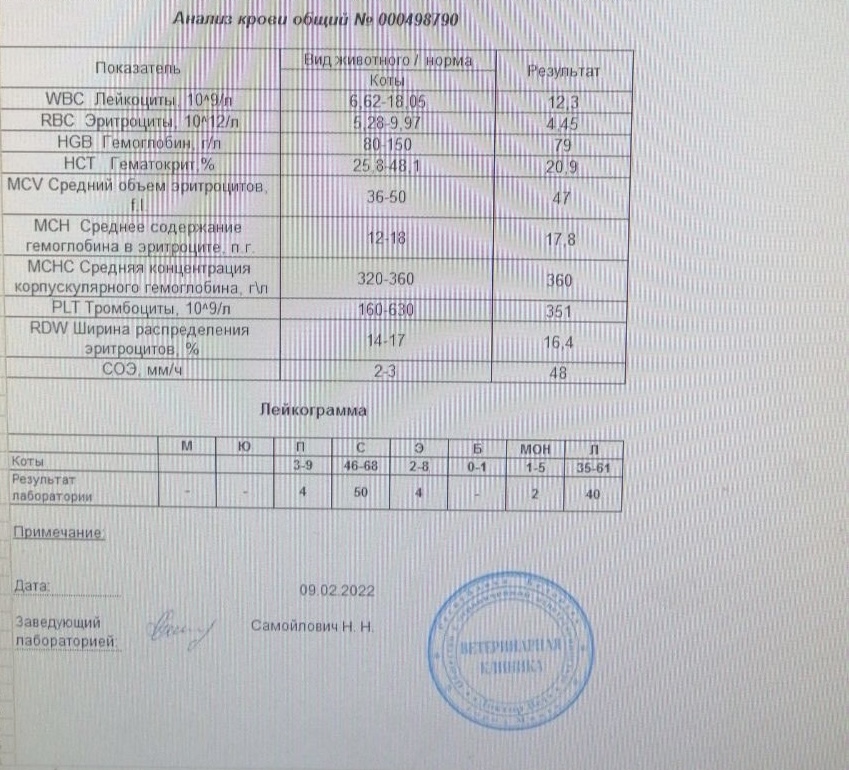 F0C68A66-E98F-427B-A02E-AE0415F734A1