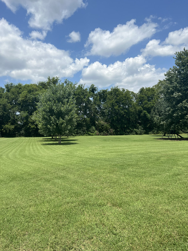 77427079-D511-4FA7-A562-DF614F70E3C8