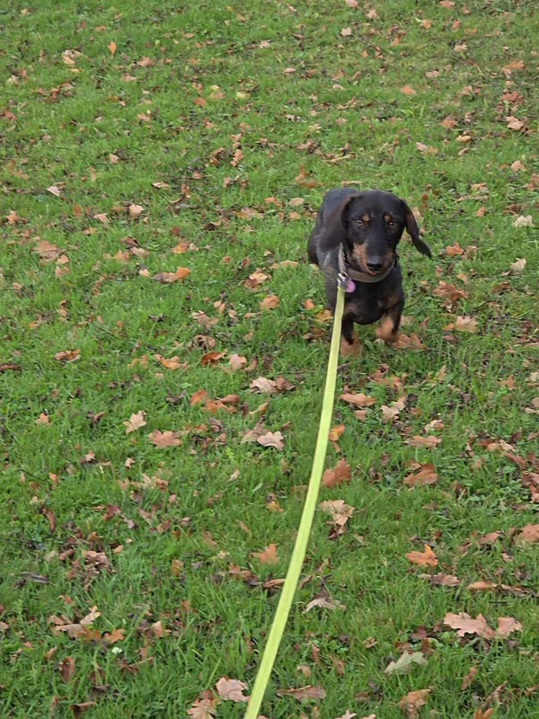 [Image: IMG-20251112-WA0001.jpg]