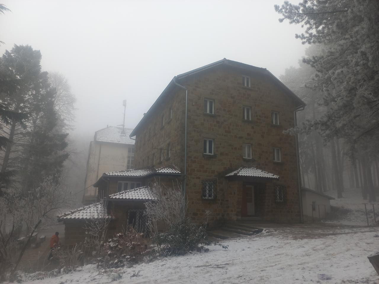 20250118_093632.jpg