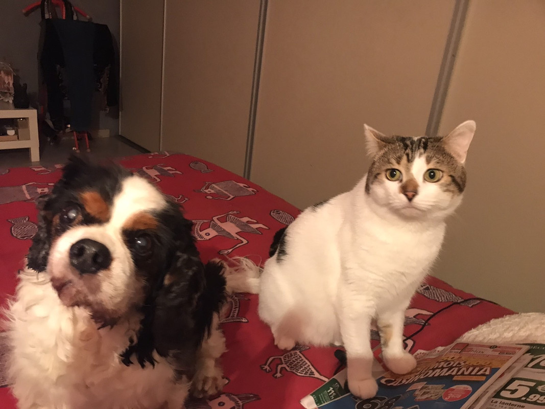 19CB3580-7137-4BC7-830B-7F86B9A6731F