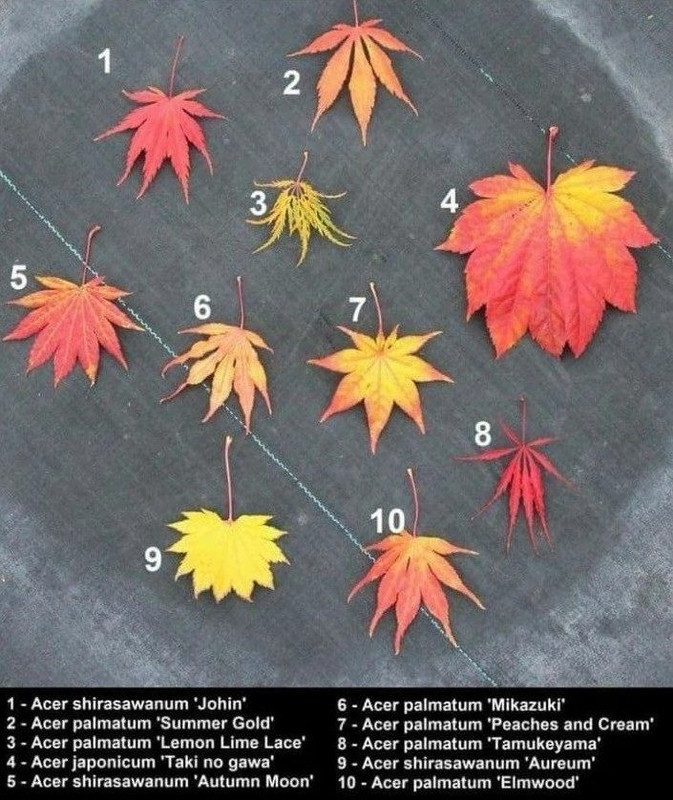 6D54ADE3-FAE0-4D7E-A5D0-F036FBAC240C