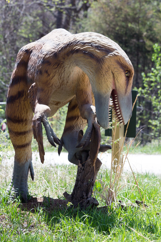 Wildlife Safari Park-9528