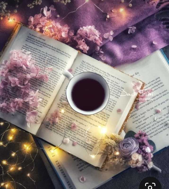 Screenshot_20240203_193026_Pinterest