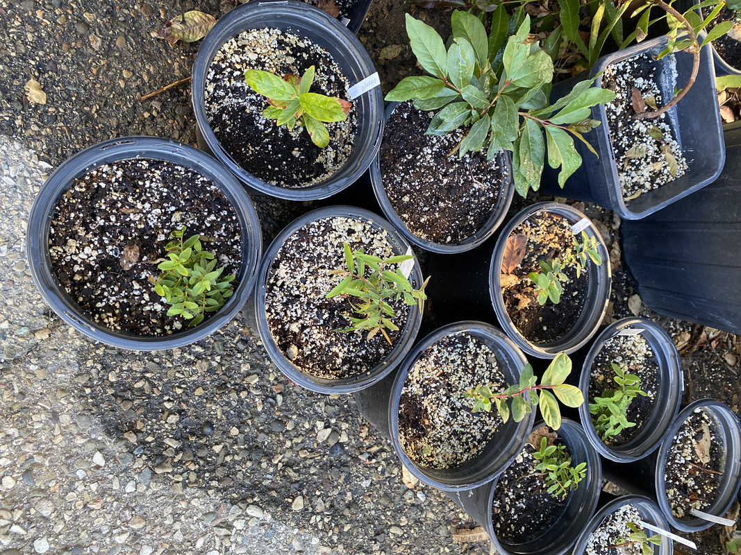 4E511E2B-583C-4793-A9A0-C87ED07616B4