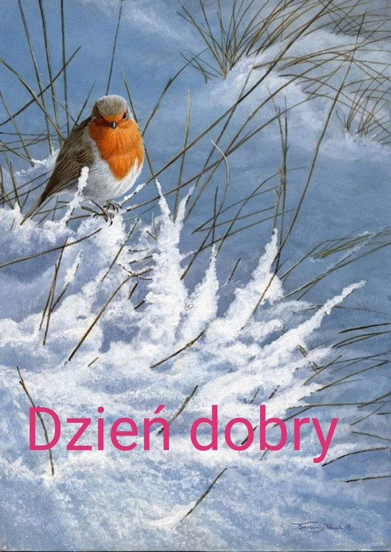 Obrazek dodany przez użytkowniczkę