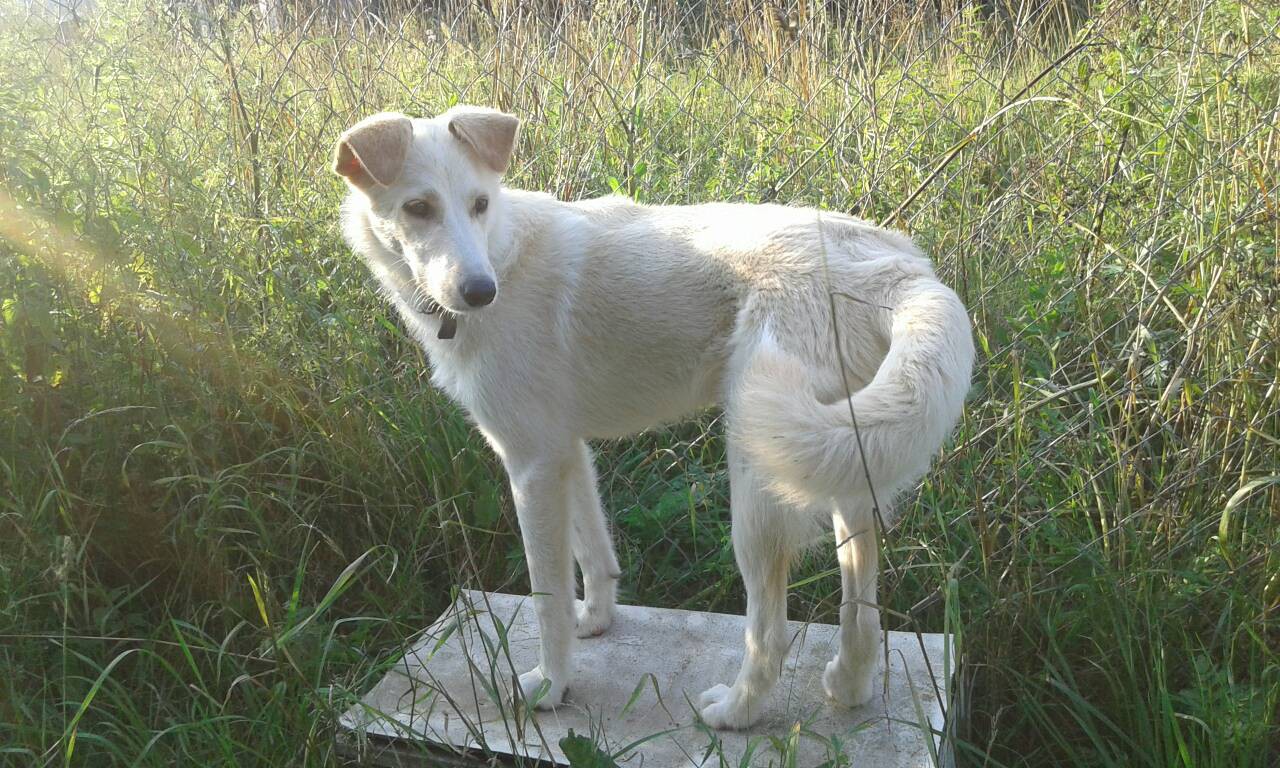 крема на вынуле2