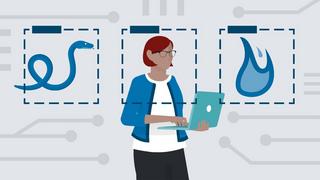 Transfer Learning for Images Using PyTorch Essential Training