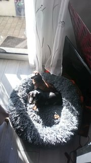 [Image: DSC-0586.jpg]