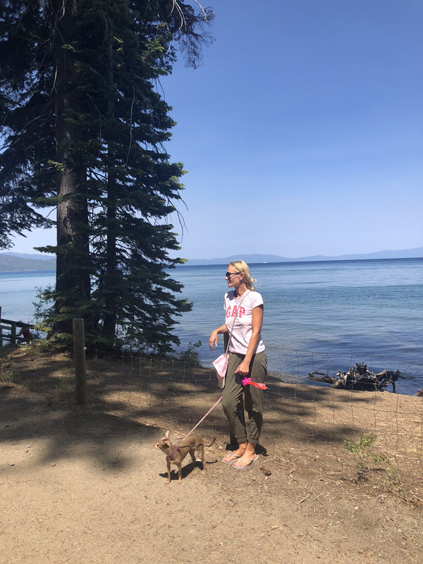 D7A3B73C-DBC9-4153-ADDE-DDEE70E61715