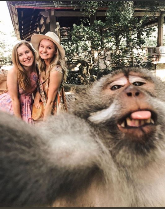Foto selfie dengan monyet.