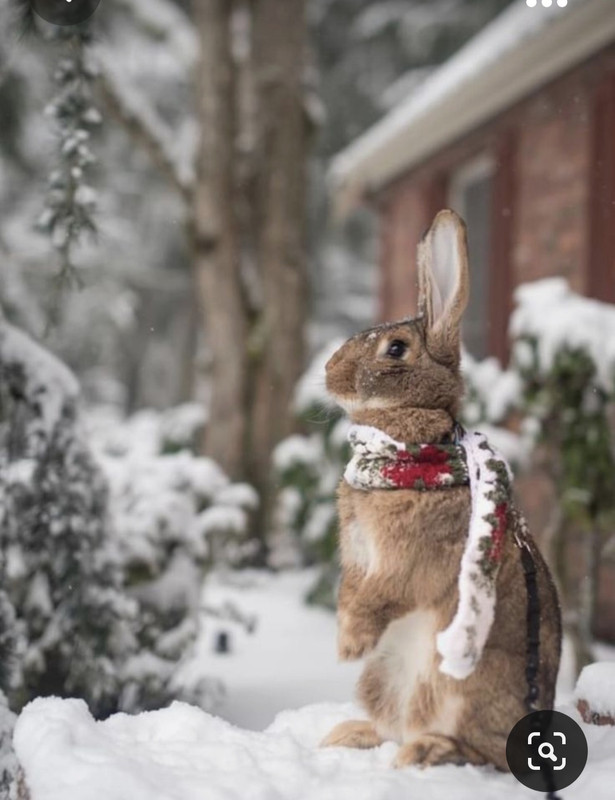 Screenshot_20231023_213826_Pinterest