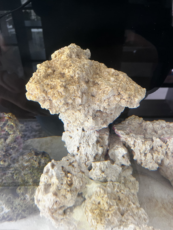 5FCC7341-2794-45D8-9B29-CEE71E4E60B3