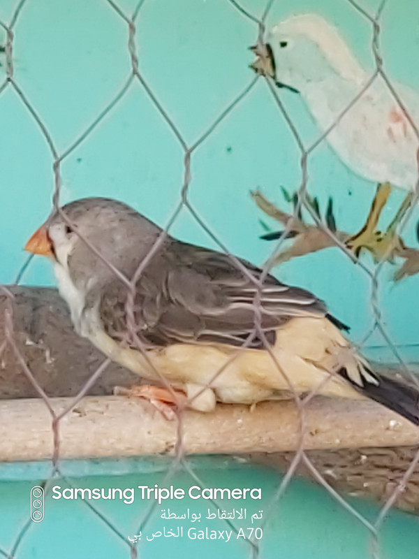 ٢٠١٩١٠٠٤_١٥٢٦٣٧