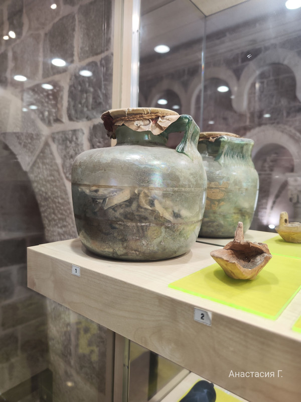 IMG_20250525_155022 (1)