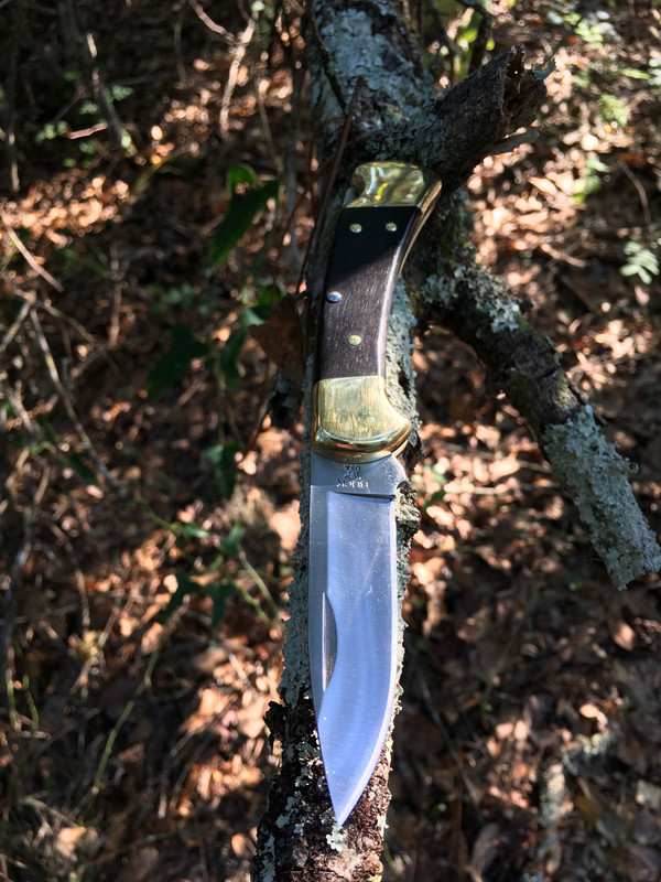 AC98FFF9-41F5-42B3-9F68-2426651C61B5