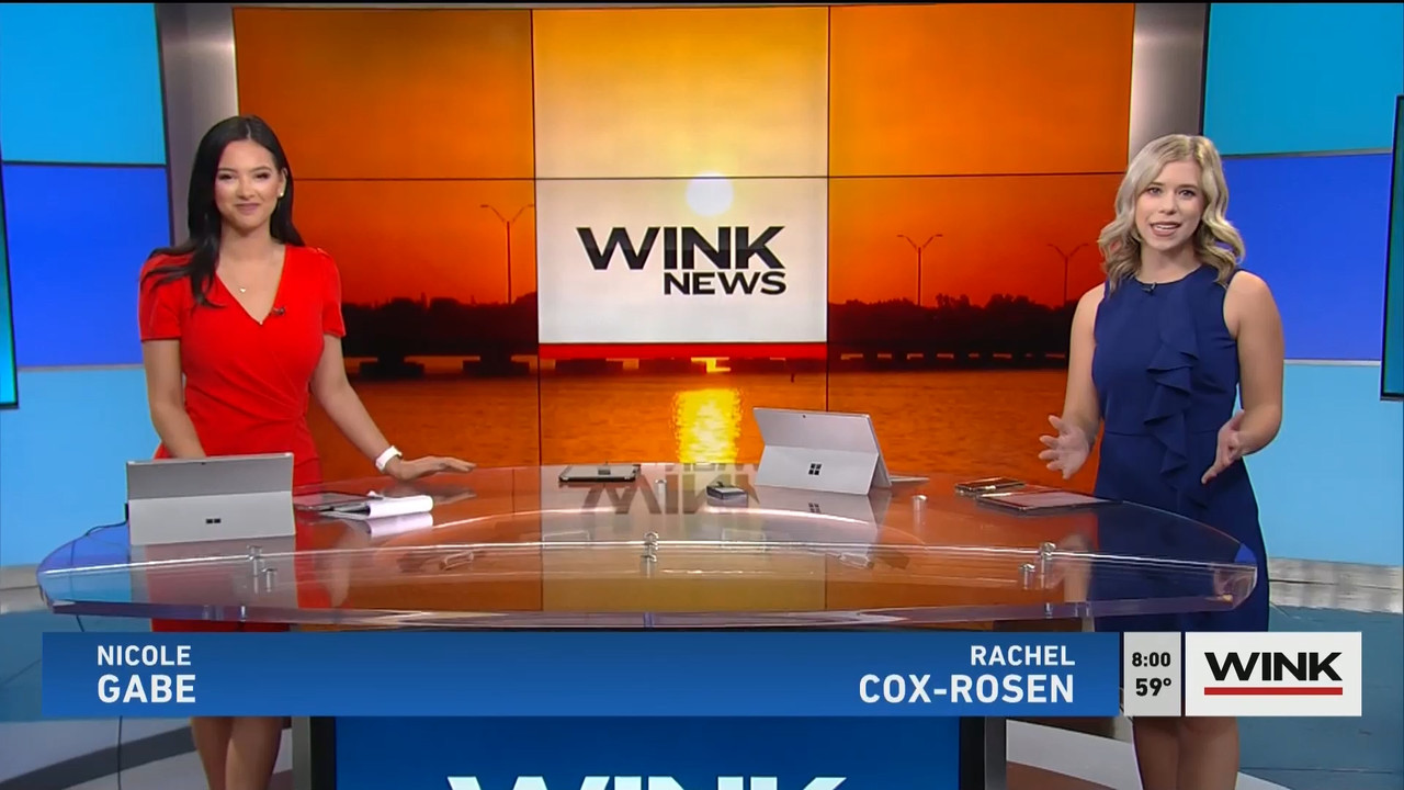 01.31 - 11.00.00 - WINK News @ 6 00AM Sunday. Local news, sports and ....ts_snapshot_01.50.845