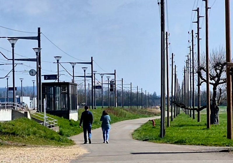 20250330-115130.jpg