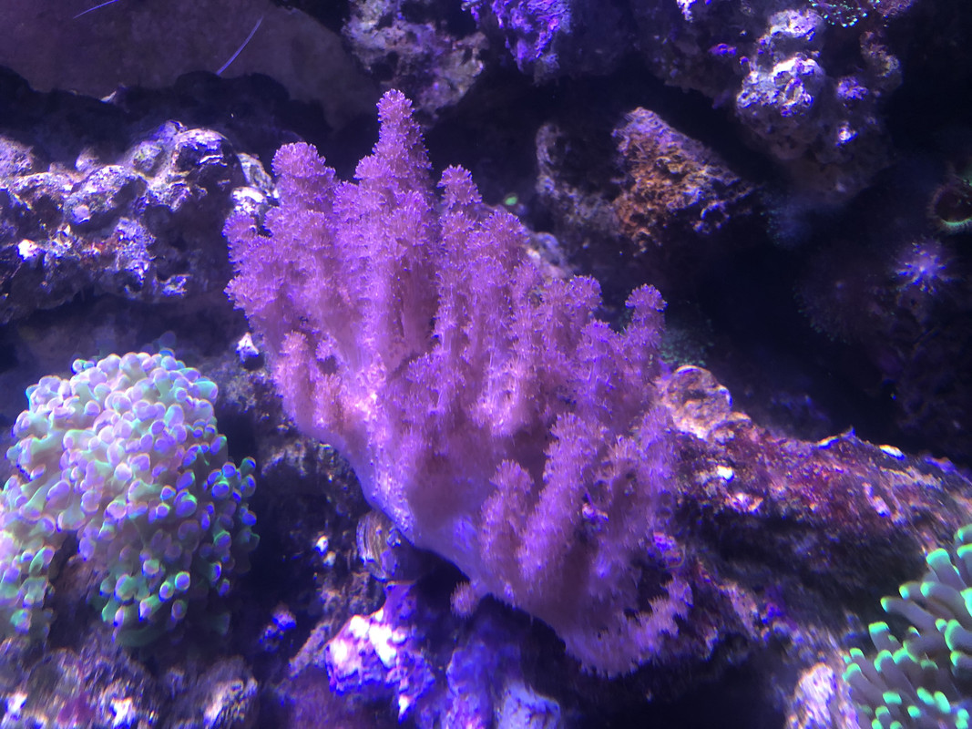 9D338AB5-9AC5-4FA3-A3A4-685773748F1C