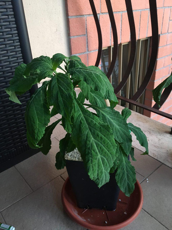 photo_2018-06-20_12-29-59 (2)