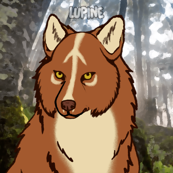 3431F8C8-1C79-4A1E-8CD8-FD7B139D1226