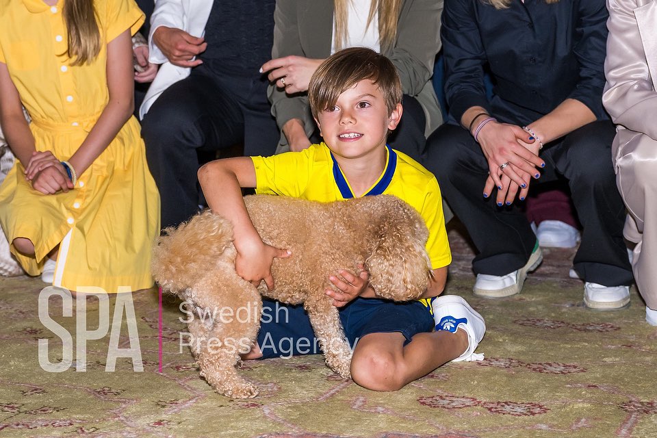 His Royal Love-Child : A Secret Baby Romance