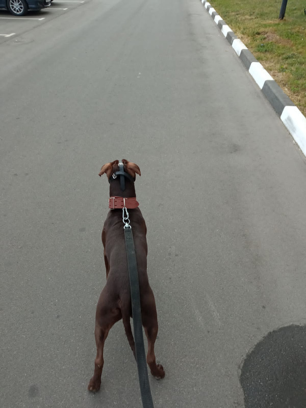 E0565ECF-CA52-4C4C-9DFB-E575AD9D01E9