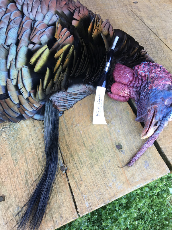 1CC02820-6955-4E5A-B1B7-0F1FFFE1731B