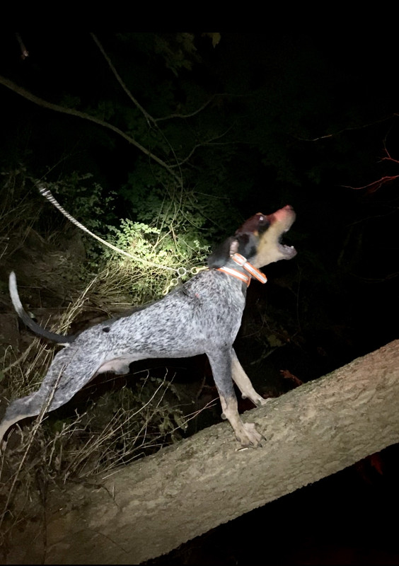 576C8648-95B8-4C18-AA28-35713F22F785