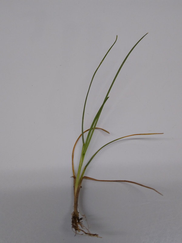 IMG_20210804_163240538