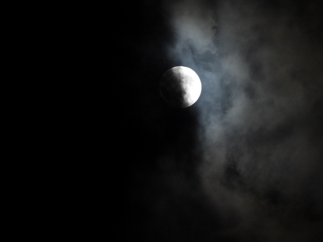 DSCN9696.jpg