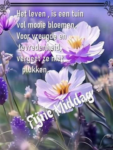 fijnemiddag