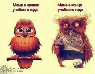 image-0-02-05-d8ae44765bc804a09a4779e156f3317133