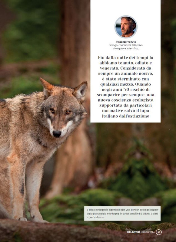 melaverde Mar 2024 (4)