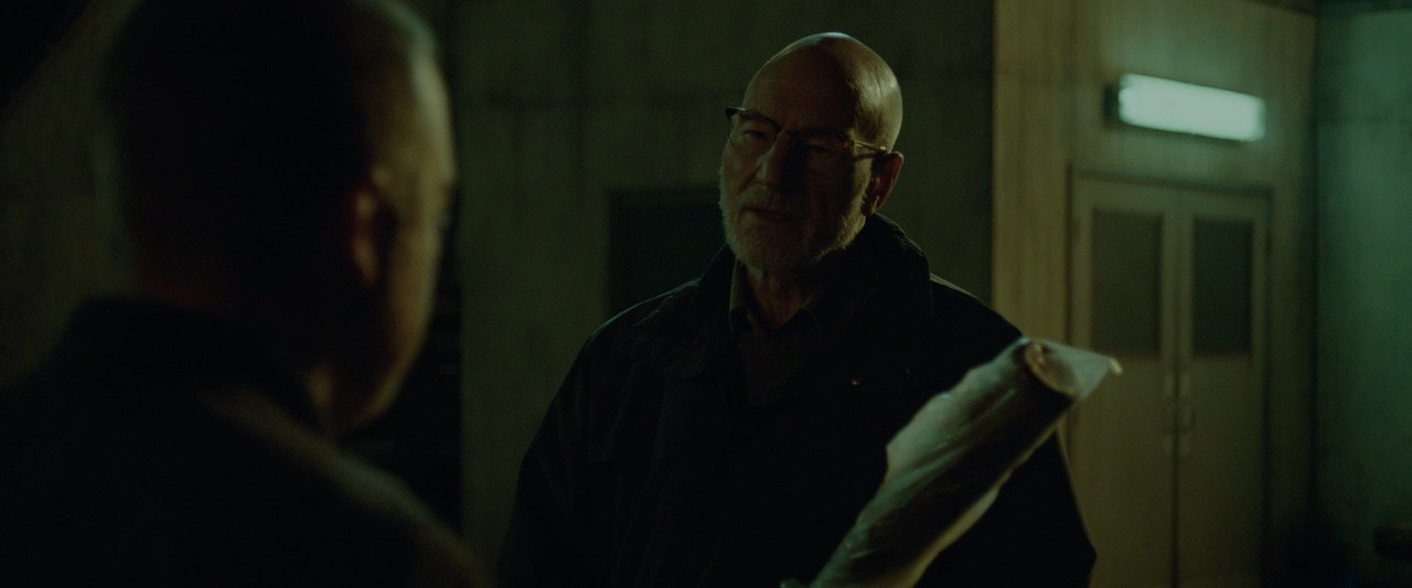 Green Room 2015 (1080p x265 10bit Tigole).mkv_sn