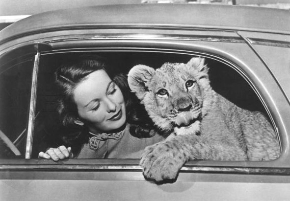 Jeanne_Crain_a61